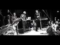 pochette album The malkin jewel