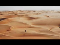 pochette album Lions in the wild