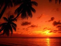 pochette album Echo island