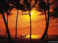 pochette album Harbor lights