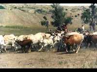 pochette album Master's call