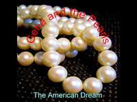 pochette album The american dream