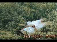 pochette album Over again