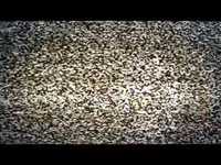 pochette album Tell me