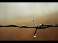 pochette album Dead man walking