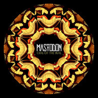 pochette album Curl of the burl