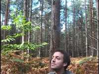 pochette album Bel et bien là