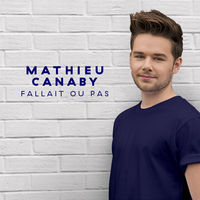 pochette album Fallait ou pas