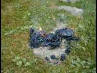 pochette album My life in reverse