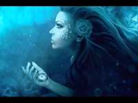 pochette album Fly high