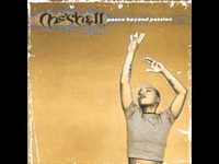 pochette album The womb