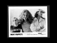 pochette album Sweet ammonia