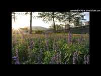 pochette album For a lifetime