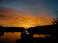 pochette album Selfish is love