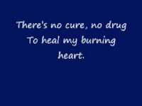 pochette album Obvious