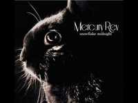 pochette album Squirrel and i