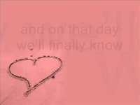 pochette album My heart will fly