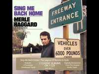 pochette album Seeing-eye dog