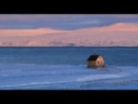 pochette album Half the world is watching me