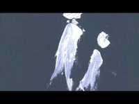 pochette album Quietly