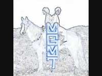 pochette album Honey bunny