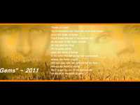 pochette album Fields of gold