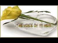 pochette album Voice of my heart