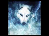 pochette album High low