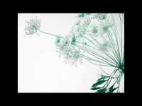 pochette album Is love enough?