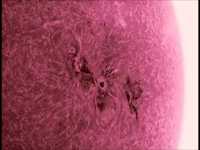 pochette album He's the wizard