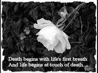 pochette album Nightmare