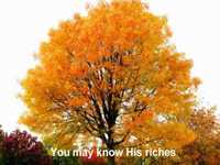 pochette album Glorious grace