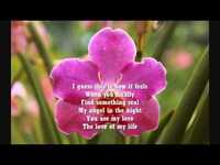 pochette album Love of my life