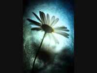 pochette album Les souvenirs