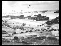 pochette album War baby