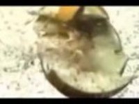 pochette album So long