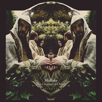 pochette album Fortune