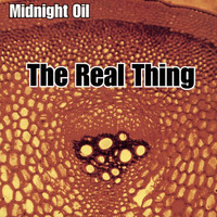pochette album The real thing