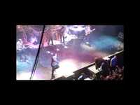 pochette album Almost anything goes