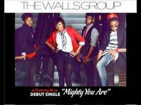 pochette album The walls group