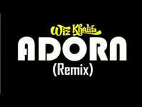 pochette album Adorn (remix)