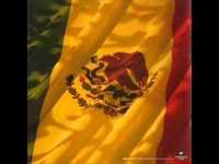 pochette album Un mundo raro