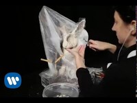 pochette album I feel the weight