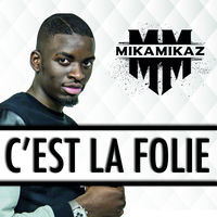 pochette album C'est la folie