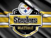 pochette album Calling steeler nation