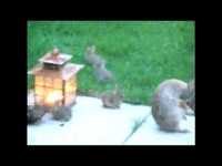 pochette album Black blue