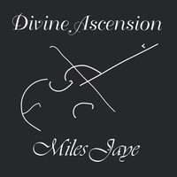 pochette album I've been a fool for you