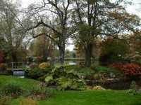 pochette album Holy fall