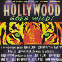 pochette album On the hill