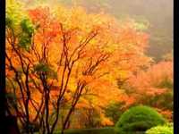 pochette album You keep me